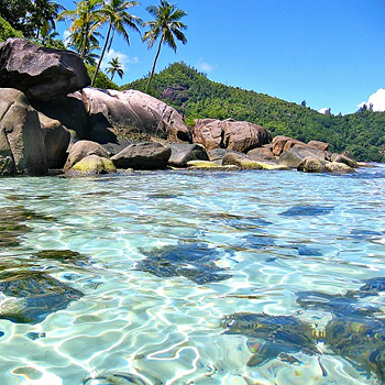 Пляжи Анс-Форбанс и Анс-Рояль хорошо защищены коралловым рифом, там можно отлично поплавать с маской и трубкой. Но одним из самых красивых пляжей на Сейшелах считается пляж Анс-Интенданс — пятисотметровая дуга, окаймленная кокосовыми пальмами.