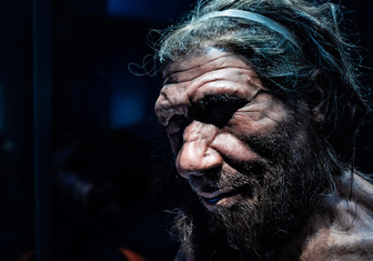 Во всем виноваты неандертальцы: каждый пятый рискует отравиться обезболивающим из-за древних генов