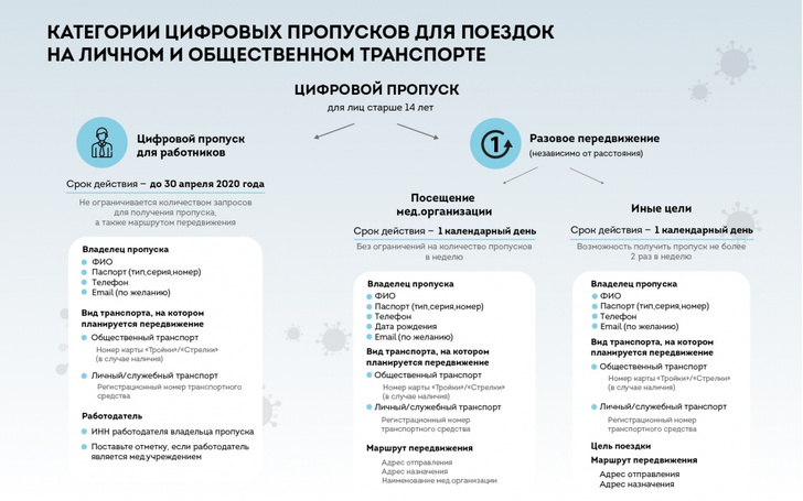 Мэр Москвы подписал указ о спецпропусках для поездок на любом виде транспорта