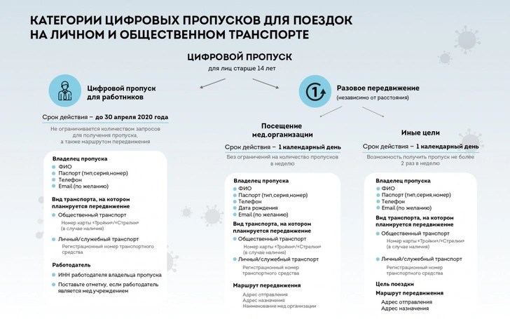 Мэр Москвы подписал указ о спецпропусках для поездок на любом виде транспорта