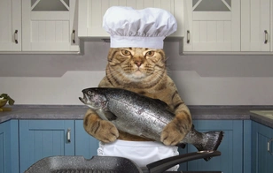 Коты освоили человеческие профессии: 20 фото, которые рассмешат до слез каждого