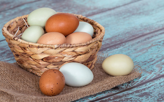 Почему одни куриные яйца белые, а другие коричневые?