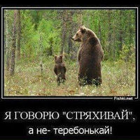 Аватарка Андрей