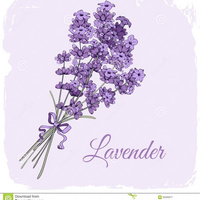 Аватарка Lavanda Астролог, таролог