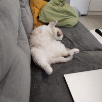 Аватарка Sexy yammy