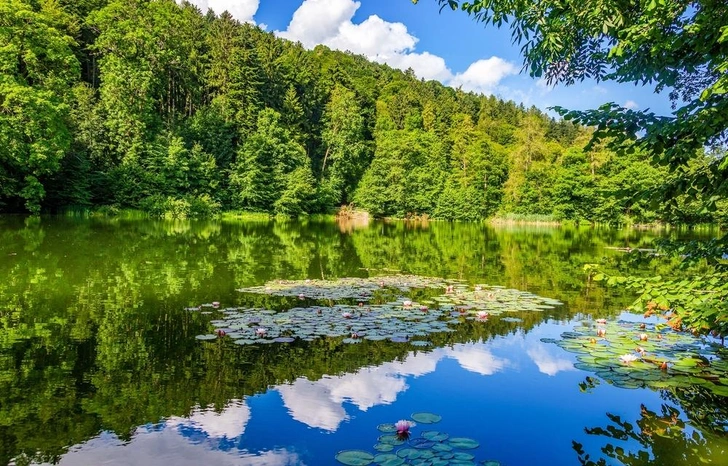 Мужчина умер из-за редкой амебы после того, как промыл нос водопроводной водой