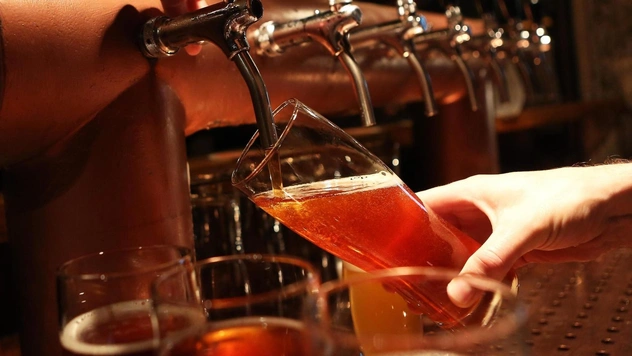 Откуда взялся Indian Pale Ale (IPA) и чем отличаются его сорта между собой. История и краткий гид
