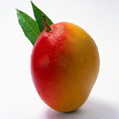 На 17 неделе беременности плод можно сравнить с манго