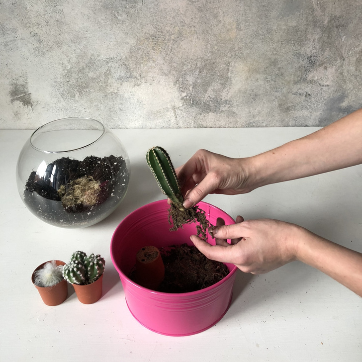 Как сделать зимний флорариум своими руками (фото 11)