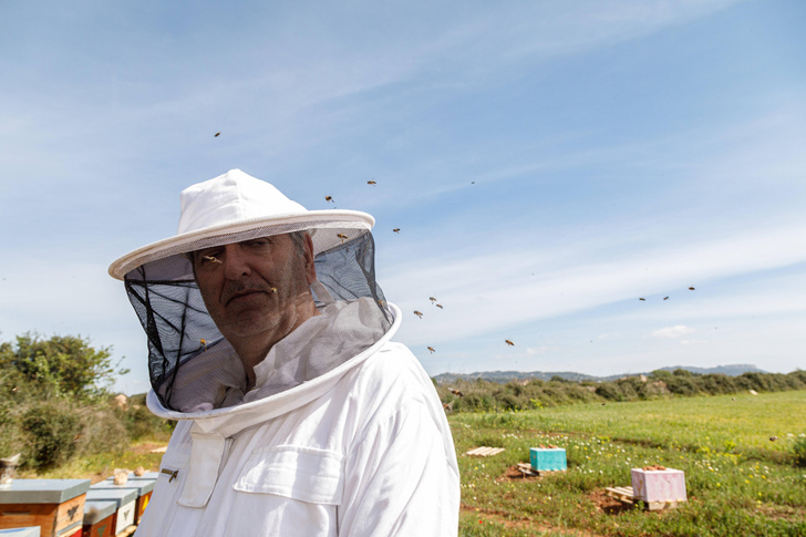 Укротитель пчел: как устроен костюм пчеловода