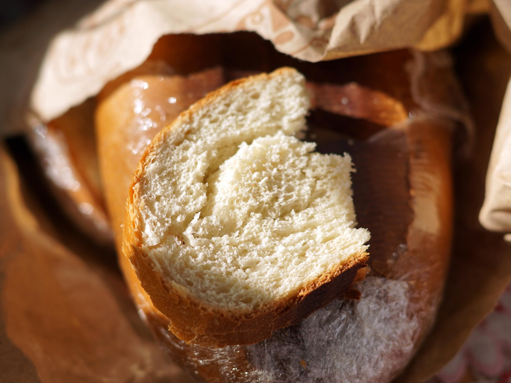 Возможности для использования черствого хлеба