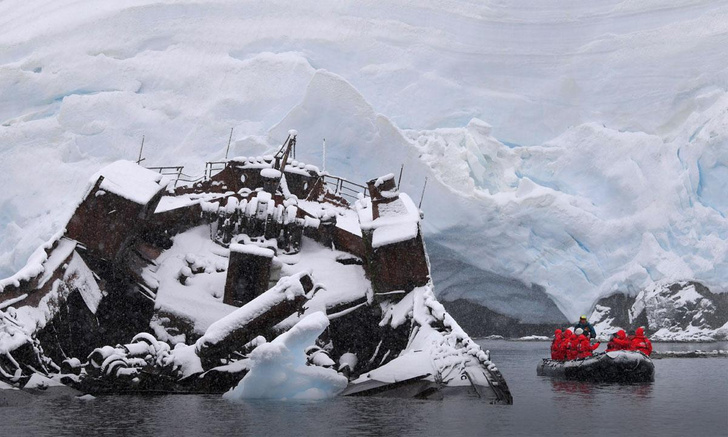 Большая добыча: как китобои осваивали Антарктику и что они оставили после себя
