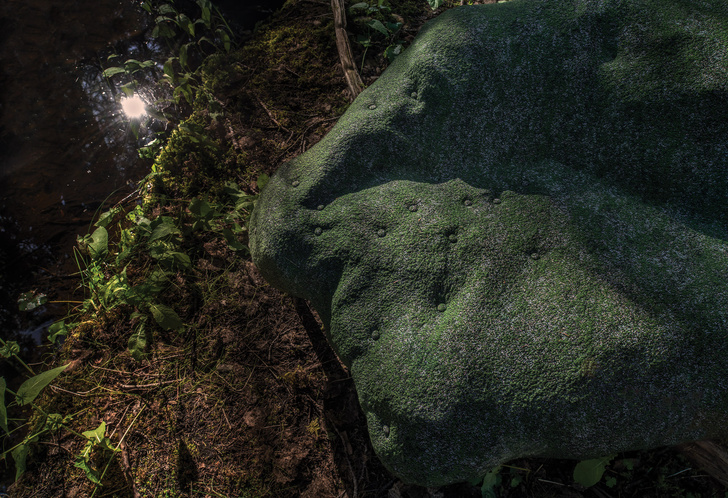 Камень в лесу: совместный проект студии Front и Moroso
