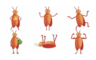 Тест: выберите тараканчика и узнайте, что бы вам сказал Франц Кафка