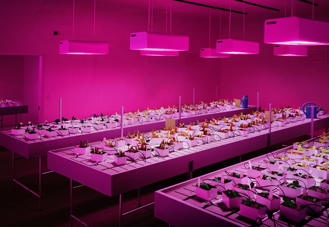 Томас Деманд. Nursery, 2020. | mcmaison.ru