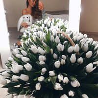 Аватарка София Чернышевская