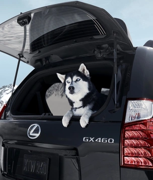 Лучше новых двух. Lexus GX460 как воплощение идеального олдскула