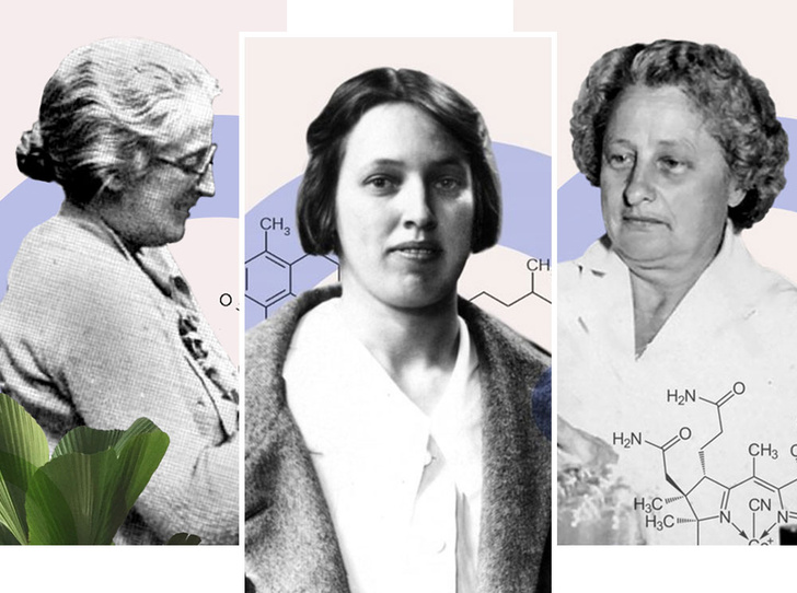 «Для женщин — за женщин»: истории исследовательниц, стоявших у истоков открытия витаминов