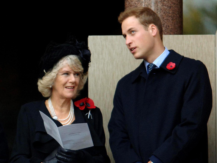 Королева иронии: что Камилла сказала после первой встречи с принцем Уильямом (и это очень забавно)