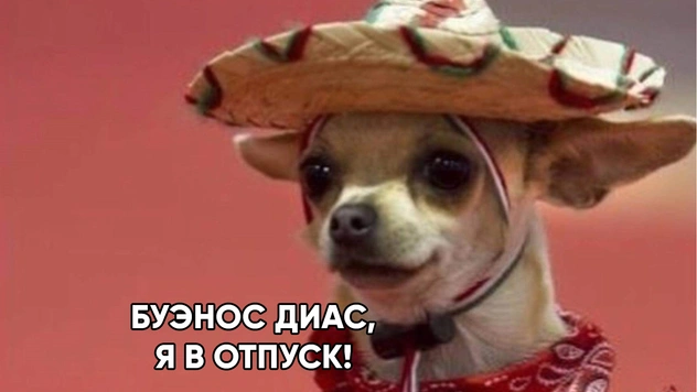 Лучшие шутки и мемы о нерабочих днях
