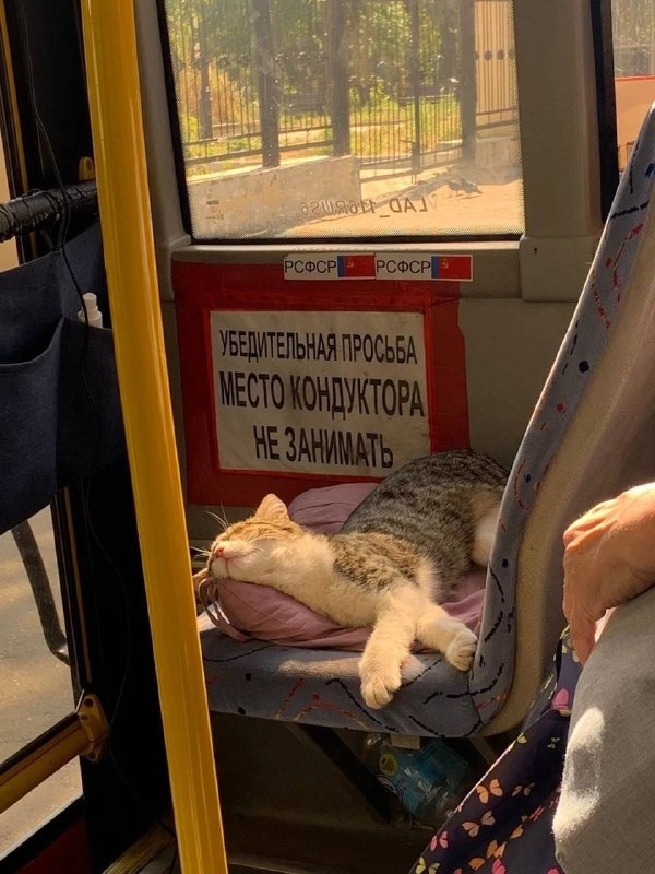 Прикольно :-) Прикольно :-) Хулиганство