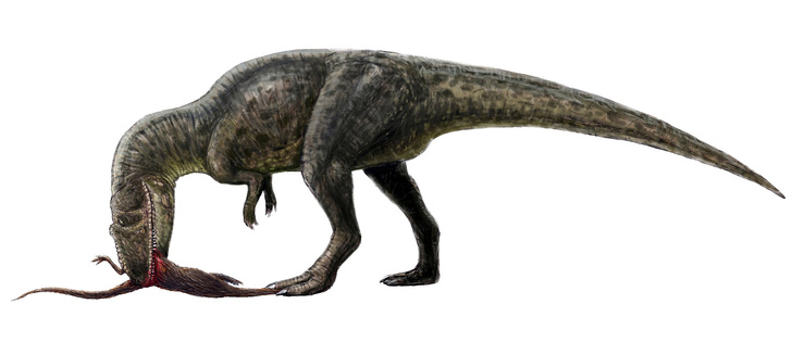 Какой динозавр был самым редким?