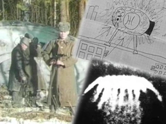 Сигарообразный объект, огонь над Курилами и примятая трава: 5 случаев появления НЛО в России