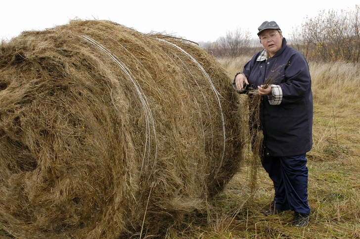 Татьяна Агафонова