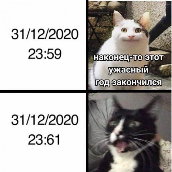 20 мемов, которые идеально описывают 2020 год