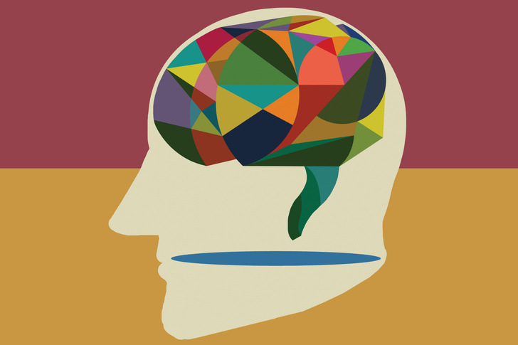 Что мы знаем о мозге: 5 лучших книг о нейробиологии
