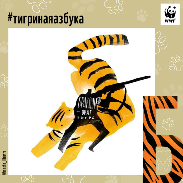 Тигриная азбука: спасем амурского тигра вместе!