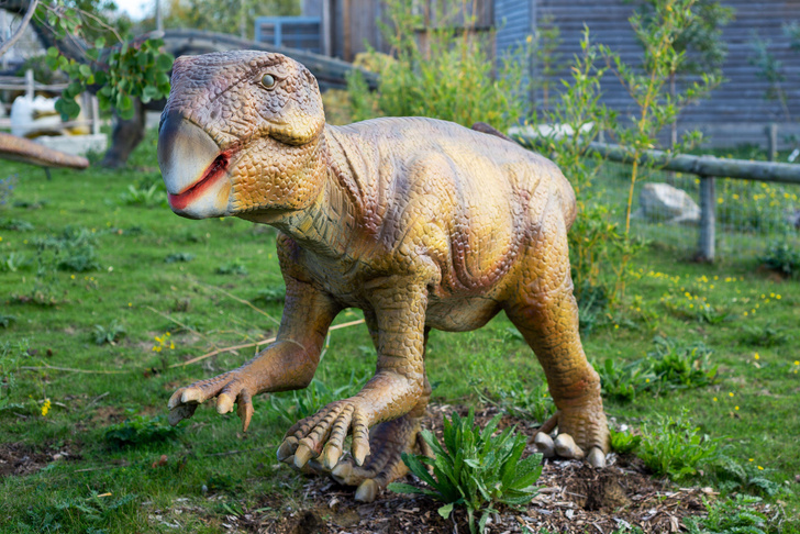 Шрамы украшают динозавров: палеонтологи рассмотрели у древних ящеров пупок
