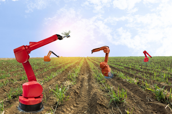 Новый робот борозды не испортит. Об успехах сельского хозяйства XXI века
