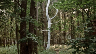 Планы на выходные: чем заняться в последний летний уикенд