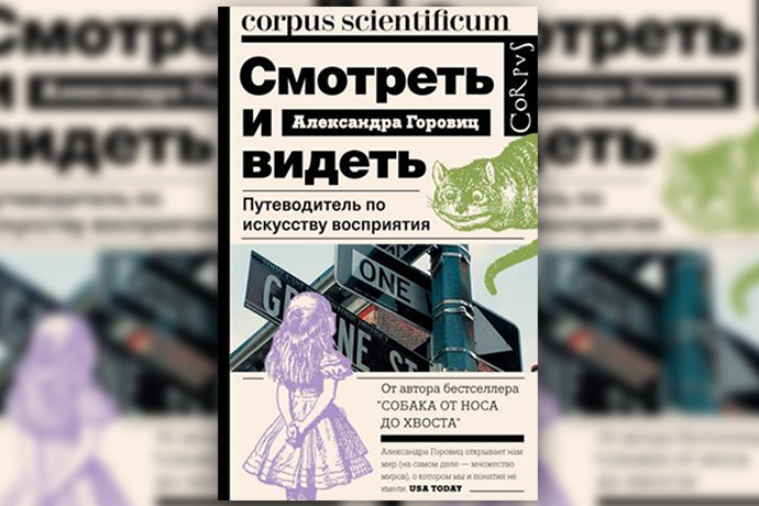Разбудить воображение: 11 книг на лето-2017