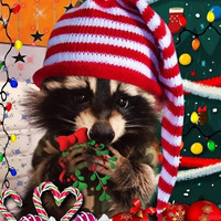 Аватарка Naughty Raccoon👻