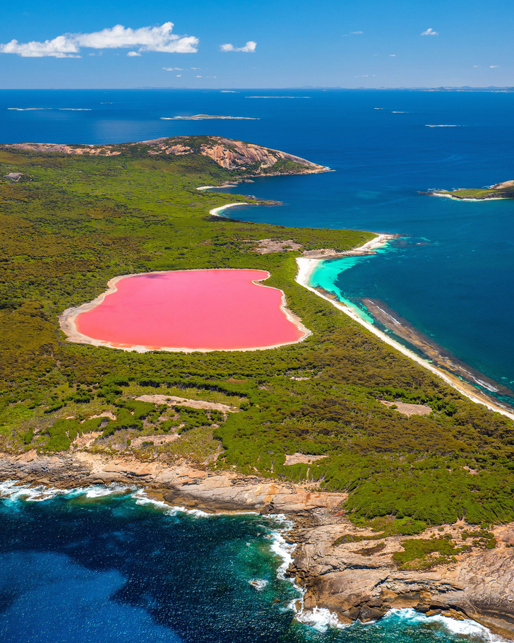 Естественное розовое озеро Хиллиер в Австралии.