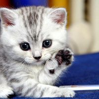 Аватарка Настенька