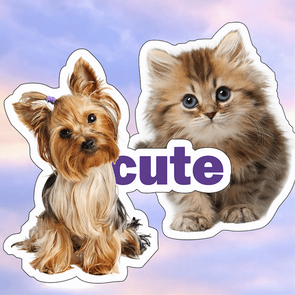 тест] Кто ты в отношениях — котенок или щенок? | theGirl
