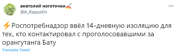 Лучшие шутки про орангутана Бату, из-за которого в Новосибирске разразился политический скандал