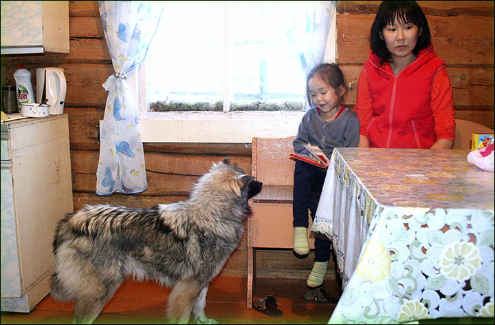 Друг в беде не бросил: как трехлетняя Карина Чикитова провела 9 дней в тайге с щенком и выжила