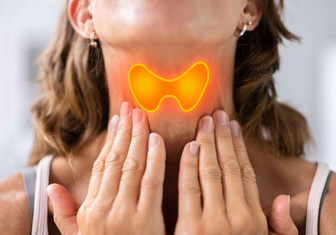 Щитовидная железа: как она работает и для чего она нам нужна