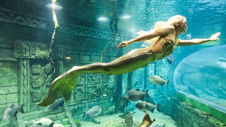 Подводное шоу «Приключение русалочек» в честь Дня матери