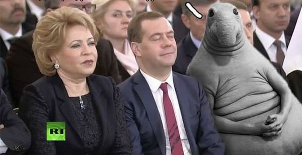 Ждун хочет о чем-то попросить Дмитрия Медведева