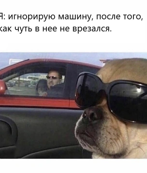 Самые жизненные автомемы, которые поймут только водители