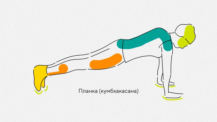 Пошаговое руководство по стройности: 5 поз йоги для подтянутой талии