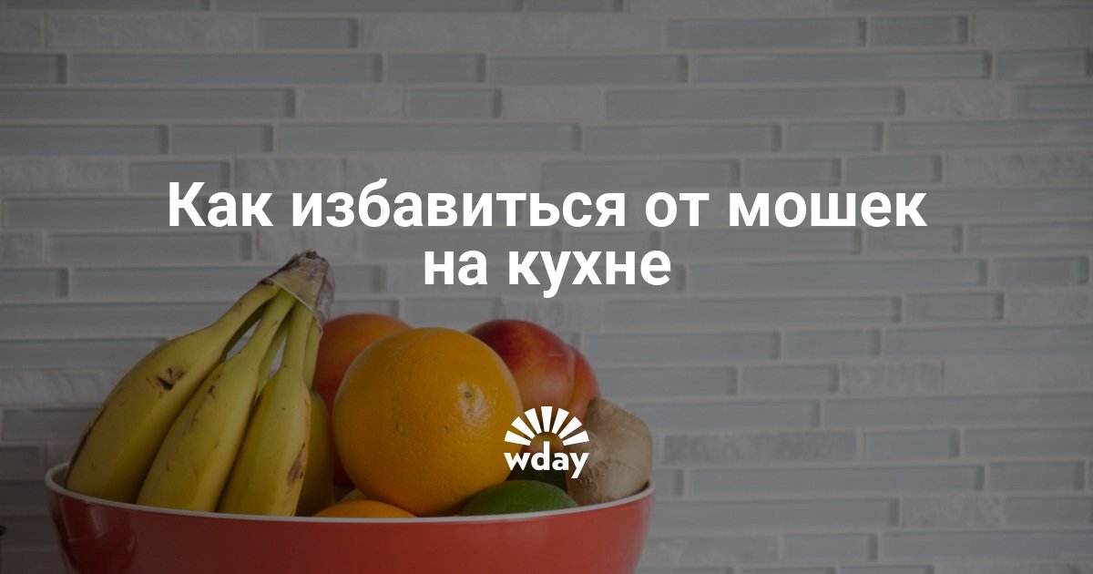 Как избавиться от фруктовых мошек на кухне