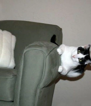10 фотографий, на которых без вмешательства дьявола не обошлось