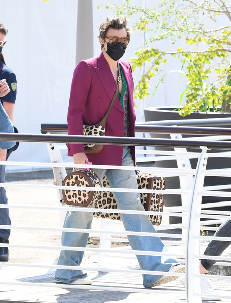 Будет что-то грандиозное: Гарри Стайлс прибыл в Венецию с леопардовыми чемоданами 🐆