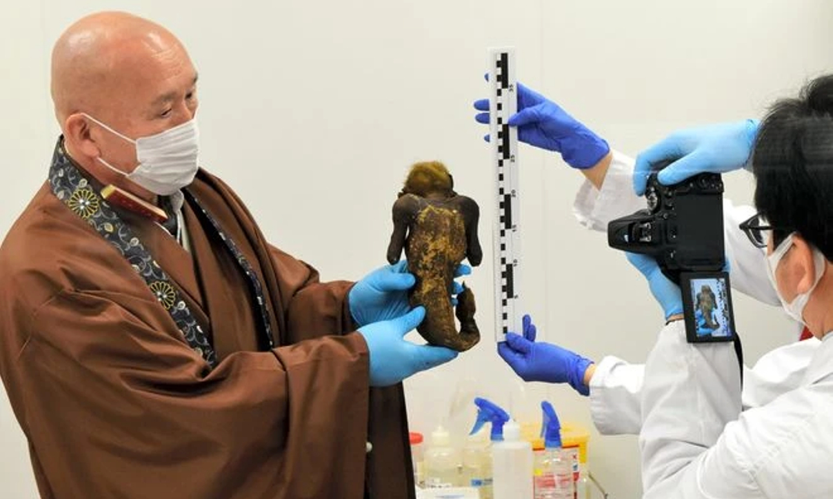 Японские ученые исследуют ДНК мумии-русалки с телом обезьяны и рыбьим хвостом